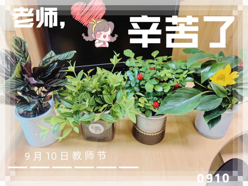 綠植 一年級(jí) (10).jpg